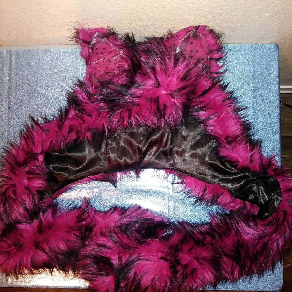 Spirit Hood